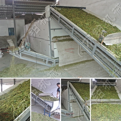 牧草烘干机使用现场